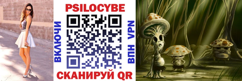 Псилоцибиновые грибы Cubensis  где купить наркоту  Сокол 