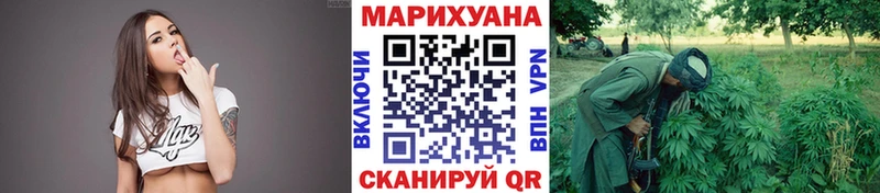 Конопля сатива  купить наркотики цена  Сокол 